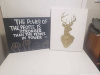 Both canvas pictures side by side showing full designs