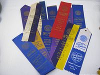 Group shot of roughly ten AKC dog show ribbons in various colors and award levels