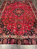 Full view of the rug showing design and size