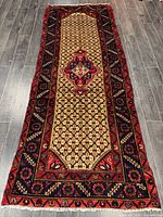 Full view of Persian wool runner rug