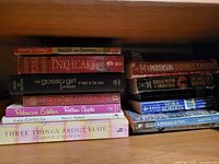 Shelf with two stacks of about a dozen assorted paperback books showing identifiable titles and visible wear