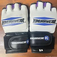 Front view of both gloves showing logo, color scheme, fingerless design