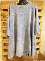 Front of gray Harley-Davidson T-shirt on hanger