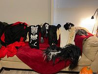Costumes and wigs arranged on sofa