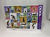 Front of Eurographics Yoga Cats 1000-piece puzzle box