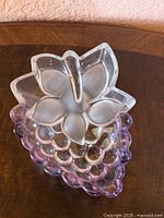 Top view showing grape cluster shape and frosted leaf detail