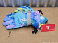 Full view of pair of multicolor Bison ski gloves with tag attached