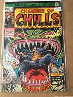 Front cover showing Chamber of Chills #21 in protective bag
