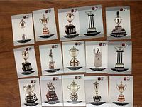 Fronts of all 15 cards showing NHL trophies