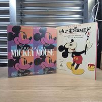 Front covers of both hardcover art books with dust jackets displayed upright