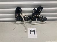 Overall view of pair of skates standing upright