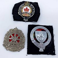All three badges laid out for overview