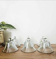 Six glass cloches displayed upright on wooden surface