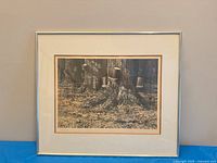 Framed, matted print depicting maple trees tapped with buckets