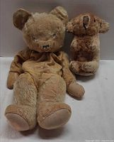 front view of teddy bear and koala plush showing overall condition