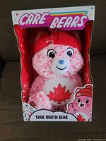 Front view of boxed Care Bears True North Bear plush