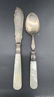 Butter knife and jam spoon side by side showing full view, handles, ferrules and blades