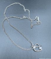 Full view of sterling silver necklace showing chain and heart pendant