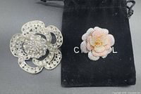 Both brooches with pouch