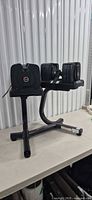Pair of Bowflex SelectTech dumbbells on stand showing overall set