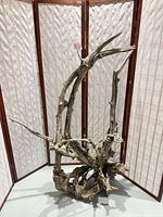 Full view of driftwood sculpture against screen showing overall size and shape