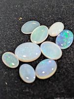 Group of nine oval opal cabochons on black background showing play of colour