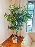 Full view of 70-inch faux tree in white planter