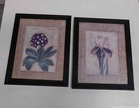 Front view of both framed botanical prints