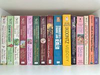 Shelf view of all 17 paperbacks showing authors, spine colours and formats.