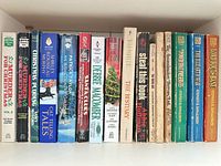 Straight-on view of 17 paperback books standing upright on a shelf