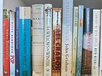 First shelf section showing 14 spines including Pop, Every Man for Himself, The Oxford Book of Short Stories, The Willows in Winter, El Chapo, Painted House