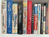 Shelf row showing Eco novels, Corrupt Cities and A Thousand Acres