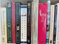Single shelf showing approximately 20 hardcover books with visible titles and dust jackets
