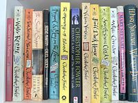 Shelf of approximately 22 mixed-format books showing spines and titles