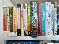 Top shelf showing mixture of paperbacks and hardcovers including Time Quintet titles, Flood, Flawed, Revenge, Enchanted Forest Chronicles, Pulitzer Prize collection, Little Big, Giant Bones