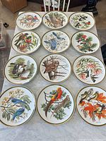 Group shot of all 12 bird plates on tabletop