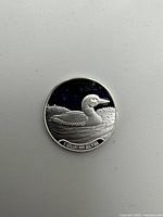 Reverse showing loon and 1 GRAM .999 SILVER inscription