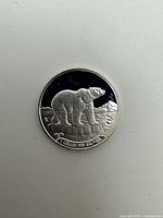 Reverse showing polar bear, mountains and 1 Gram .999 Silver inscription
