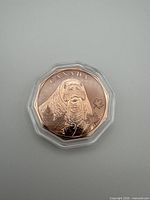 Obverse of copper walrus coin in capsule