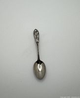Full view of the souvenir spoon showing handle design and bowl