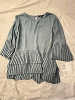 Full blouse front view showing color, pleats, sleeves, and size tag