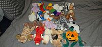 Full group shot of all Ty Beanie Babies on grey bedding