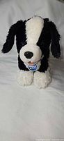 Front view of black and white Build-A-Bear Promise Pets puppy plush showing face and chest