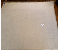 Full view of cream wool rug showing texture and fringe