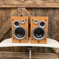 Front view of both Yamaha NX-GX505 speakers on table