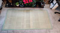 Full view of bamboo mat on carpet showing overall size and border