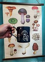 Hand holding mug in front of mushroom poster