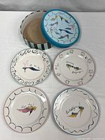 Overall view of four plates and storage box