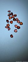 Group of loose heart-cut orange-red garnets on light background
