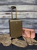 Front view of suitcase, tote bag and three packing organizers